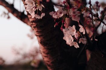 家相を気にしすぎて間取りができない人へ鬼門 裏鬼門以外に注意するポイント ぽりんきの家づくりブログ